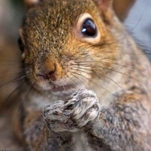 Meet your Posher, Marlaina